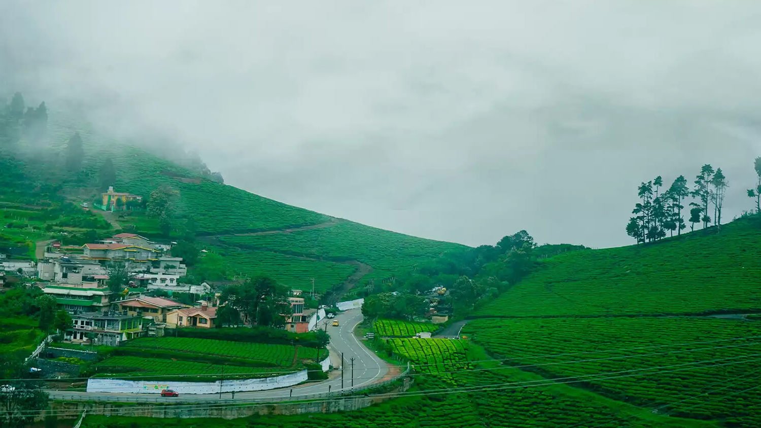 ooty local